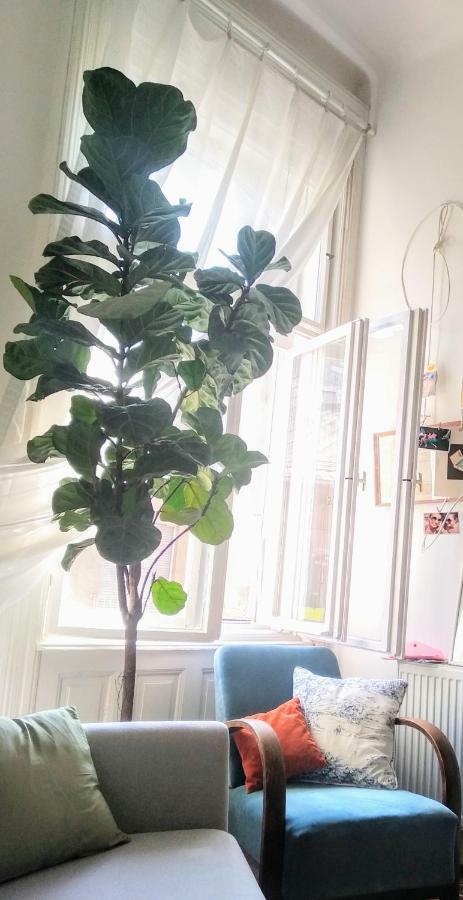 Jolie Apartment In Historical Center Budapest Esterno foto