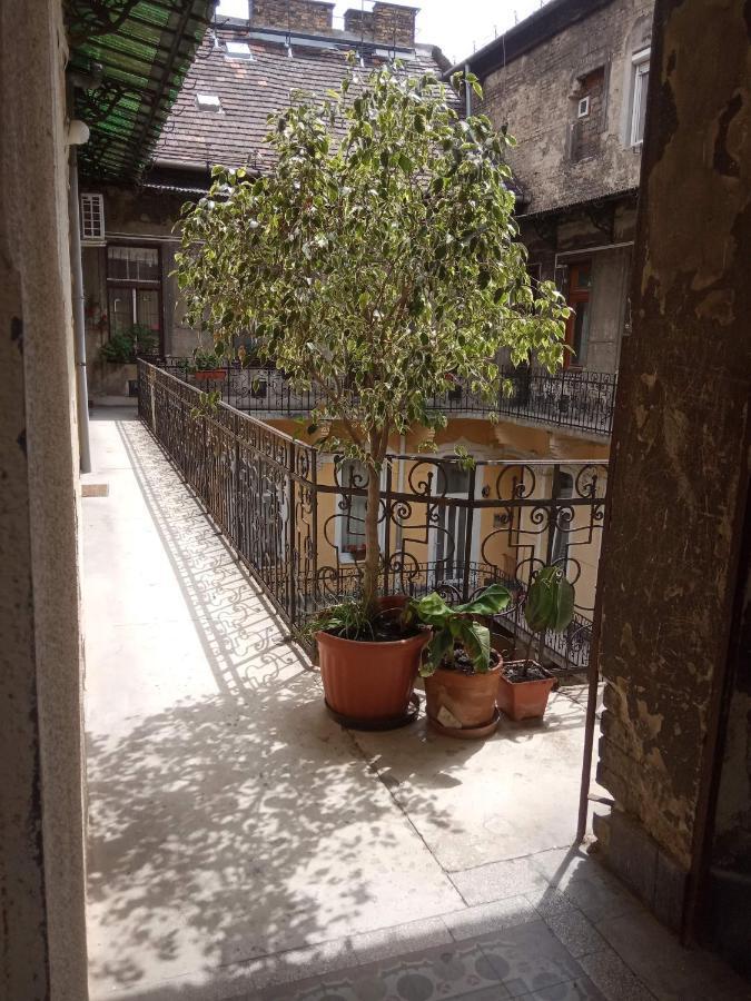 Jolie Apartment In Historical Center Budapest Esterno foto
